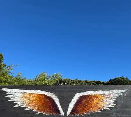 佐久島の写真・動画_image_1914371