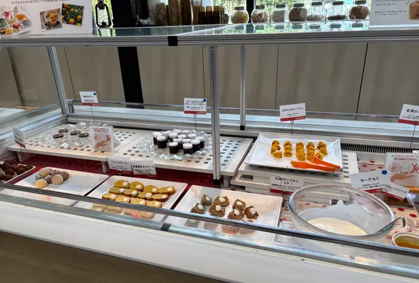 えれんなごっその写真・動画_image_1918833