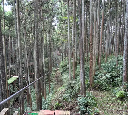 フォレストアドベンチャー・小田原の写真・動画_image_1918838