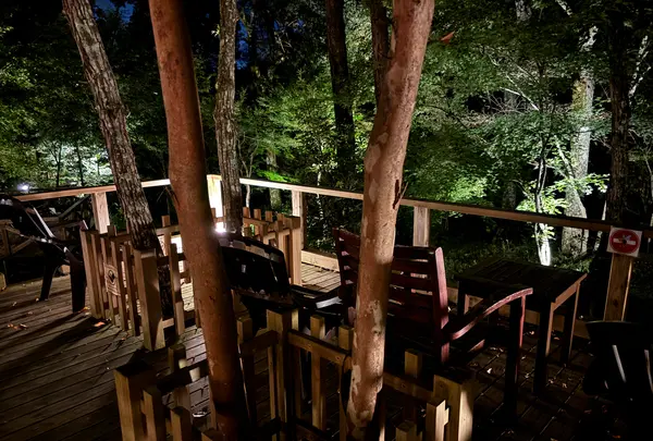 モダン湯治 おんりーゆーの写真・動画_image_1918839