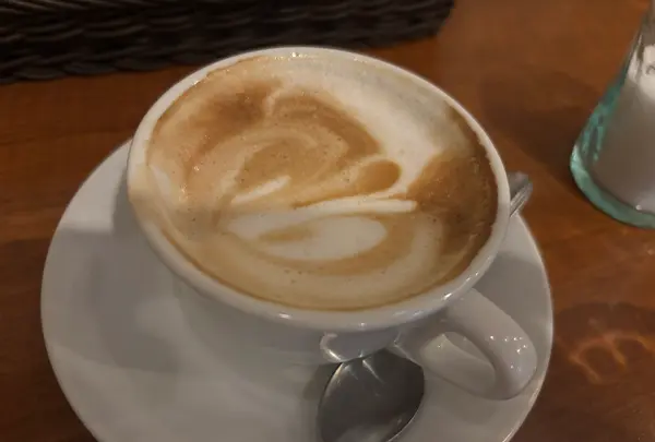 ステッラ（ＳＴＥＬＬＡ）の写真・動画_image_1920038