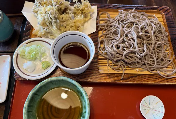 長寿更科の写真・動画_image_1921015