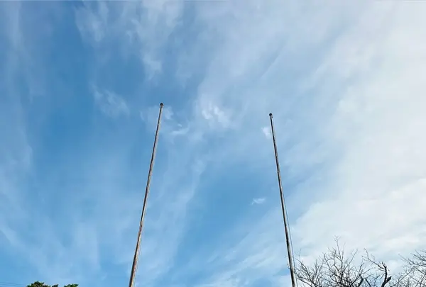 鎮西伊勢分宮 姫神社の写真・動画_image_1933858