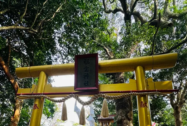 鎮西伊勢分宮 姫神社の写真・動画_image_1933860