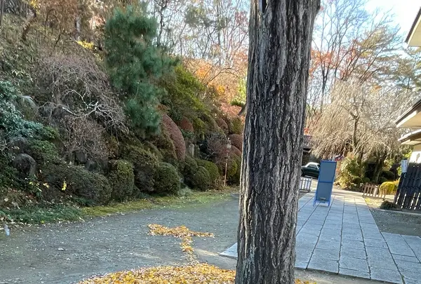 少林山達磨寺の写真・動画_image_1935420