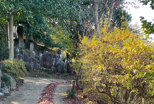 少林山達磨寺の写真・動画_image_1935421