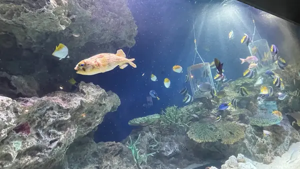 マリンワールド海の中道の写真・動画_image_1935424