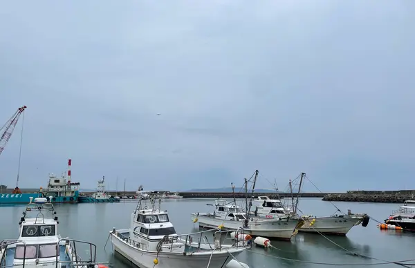 奈多海岸の写真・動画_image_1935428