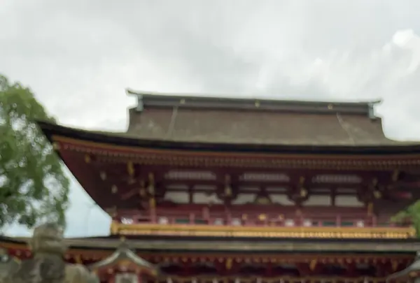 太宰府天満宮の写真・動画_image_1935443