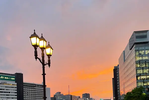 天神中央公園の写真・動画_image_1935450