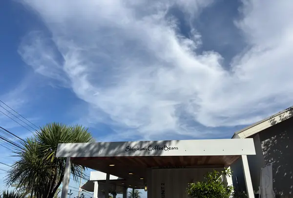 シロクマコーヒービーンズの写真・動画_image_1937467