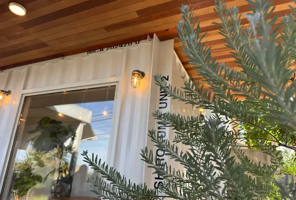 シロクマコーヒービーンズの写真・動画_image_1937469