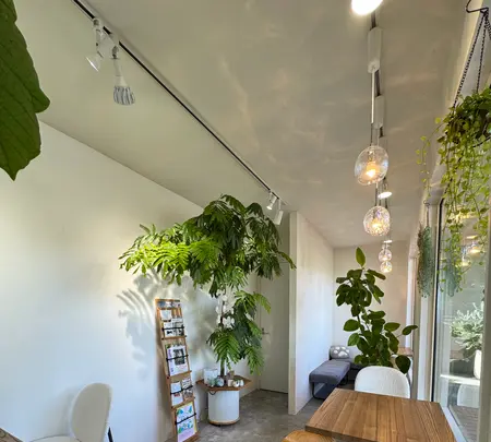 シロクマコーヒービーンズの写真・動画_image_1937470