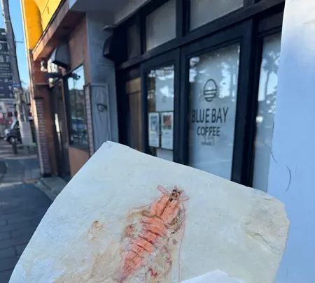 丸焼きたこせんべい松島東北本店の写真・動画_image_1942918