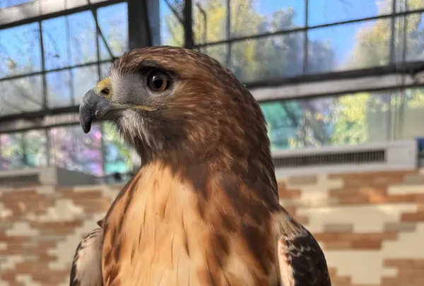 掛川花鳥園の写真・動画_image_1952028