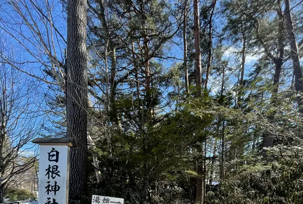 白根神社の写真・動画_image_1965054