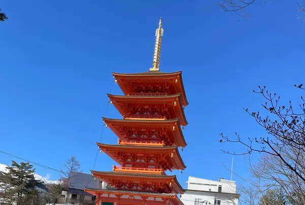 光泉寺の写真・動画_image_1965061