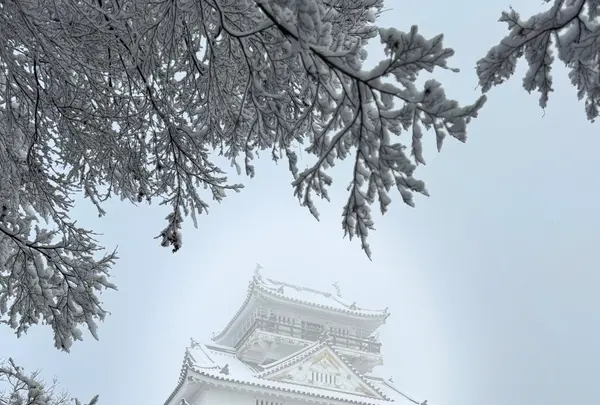 岐阜城の写真・動画_image_1966859