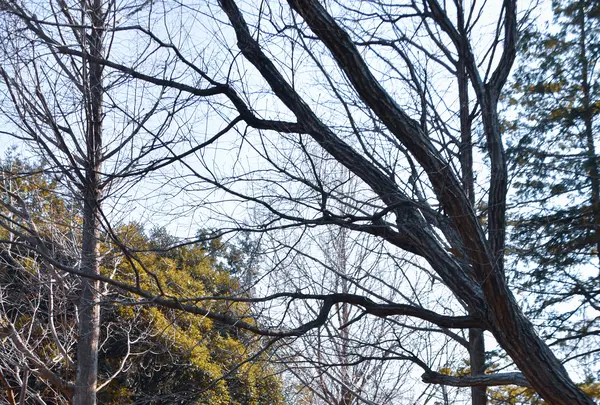 葛西臨海公園の写真・動画_image_1971771