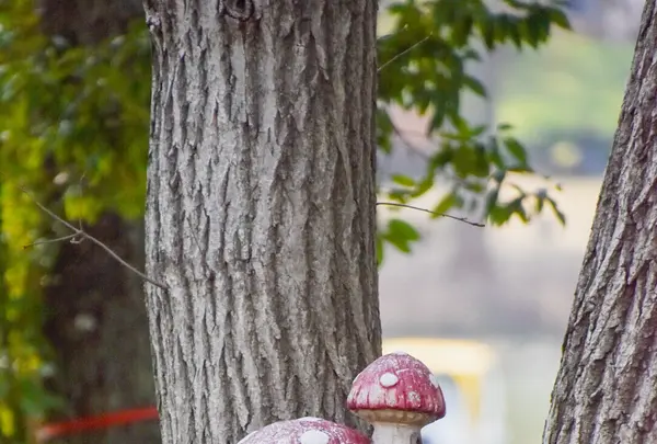 国営昭和記念公園の写真・動画_image_1982856