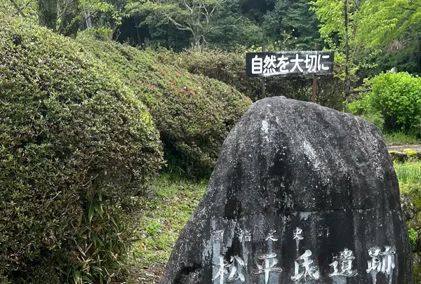 松平東照宮の写真・動画_image_1985923