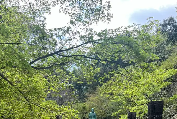 松平東照宮の写真・動画_image_1985928