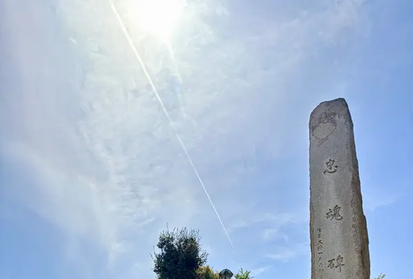 経ヶ島の写真・動画_image_1986513