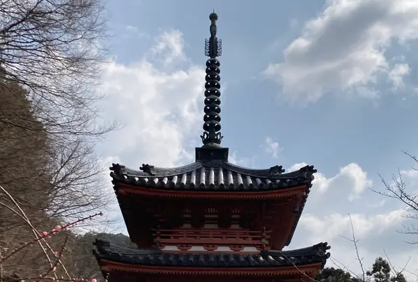 三室戸寺の写真・動画_image_1988919