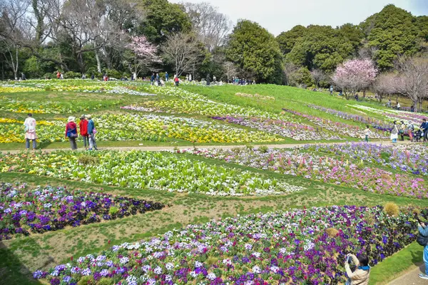 里山ガーデンの写真・動画_image_1989206