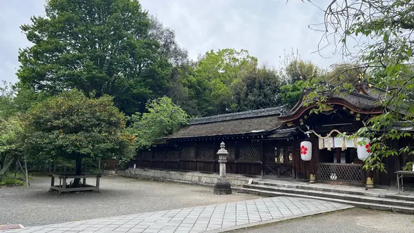 平野神社の写真・動画_image_1990059
