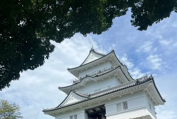 小田原城の写真・動画_image_1991224