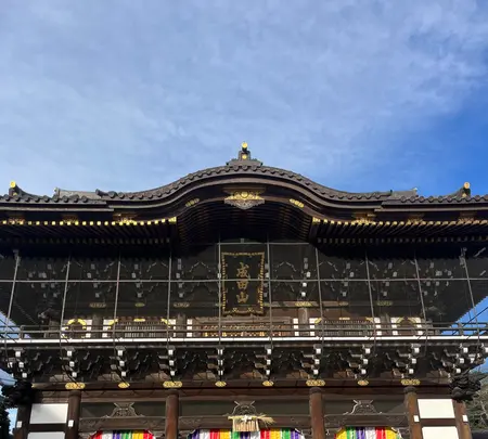 成田（成田山表参道）の写真・動画_image_1991231