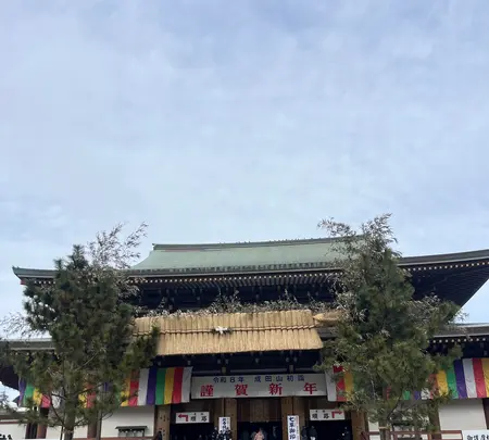 成田（成田山表参道）の写真・動画_image_1991232
