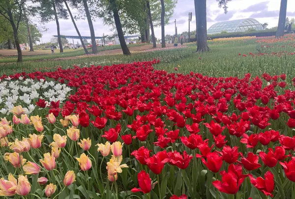 国営ひたち海浜公園の写真・動画_image_1992503