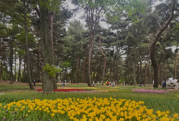 国営ひたち海浜公園の写真・動画_image_1992504