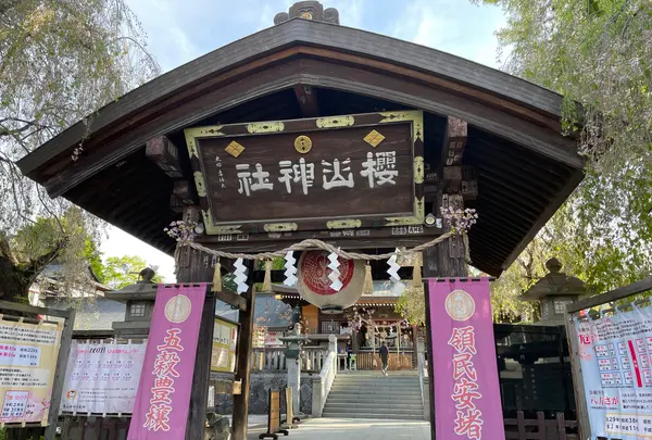 桜山神社の写真・動画_image_1994312