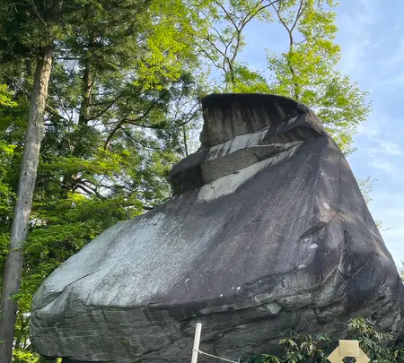 桜山神社の写真・動画_image_1994313