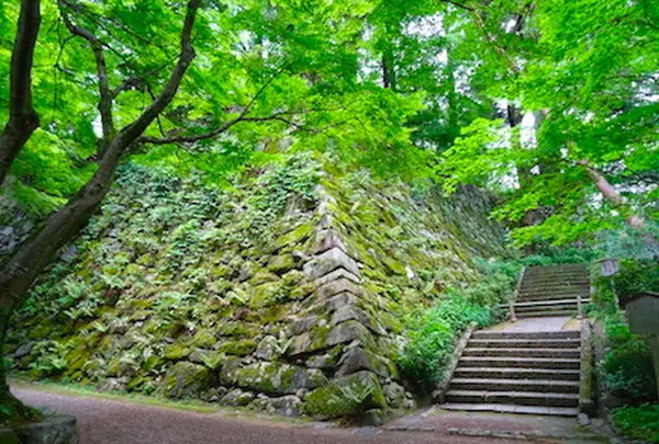 丹波亀山城跡