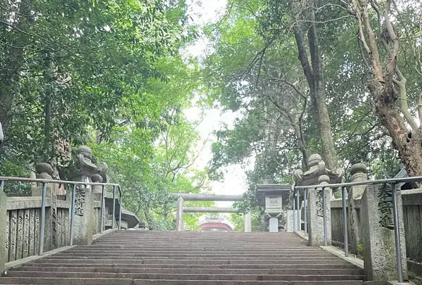 金比羅宮 本宮拝殿の写真・動画_image_2018763