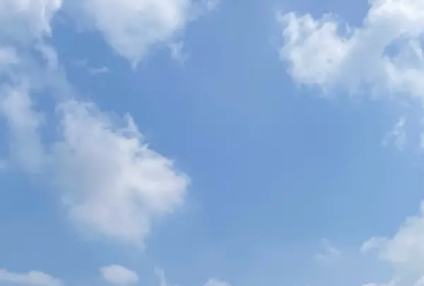 金比羅宮 本宮拝殿の写真・動画_image_2018764