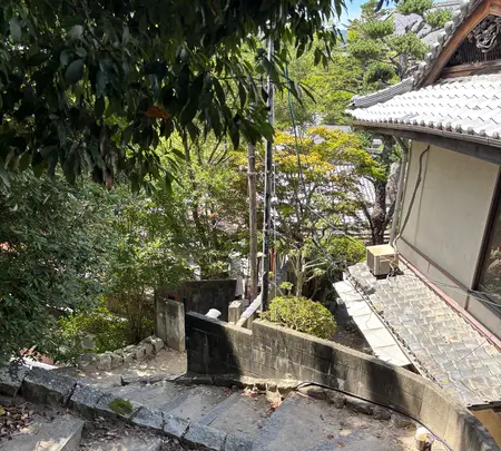 天心閣の写真・動画_image_2025900