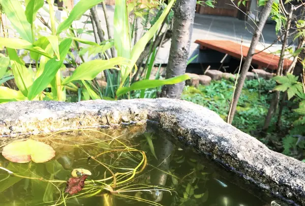 本納寺の写真・動画_image_207773