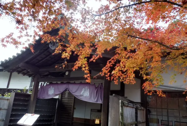 雨月茶屋