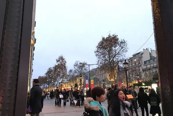 Avenue des Champs-Élysées