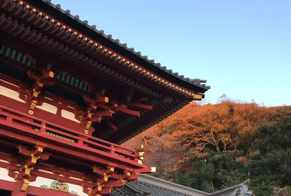 鶴岡八幡宮