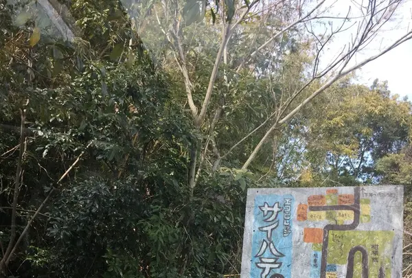 三角エコビレッジ サイハテの写真・動画_image_219463