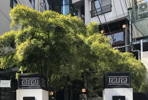 白碗竹筷樓 赤坂店の写真・動画_image_223811