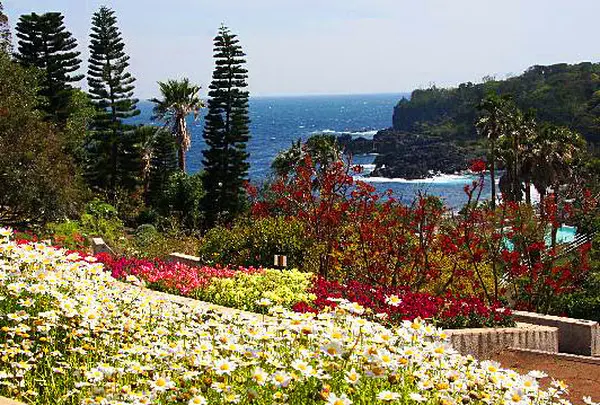 伊豆四季の花公園