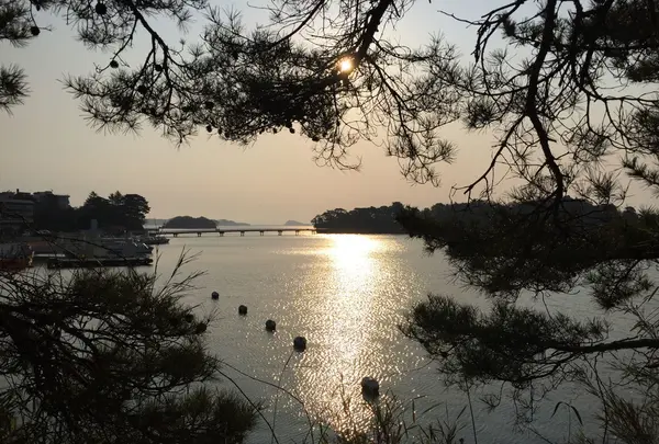 松島海岸駅の写真・動画_image_225327