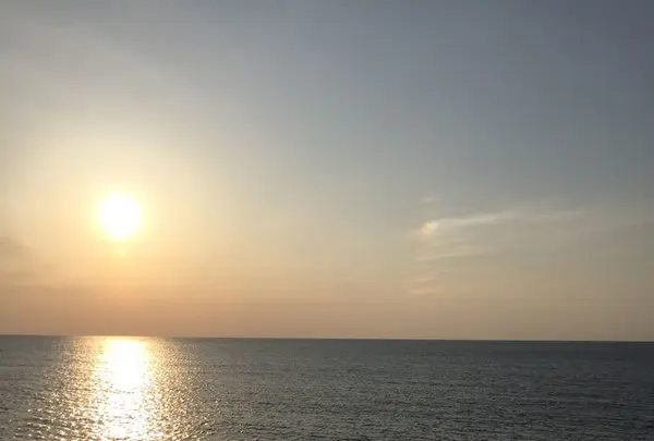 東尋坊の写真・動画_image_225417